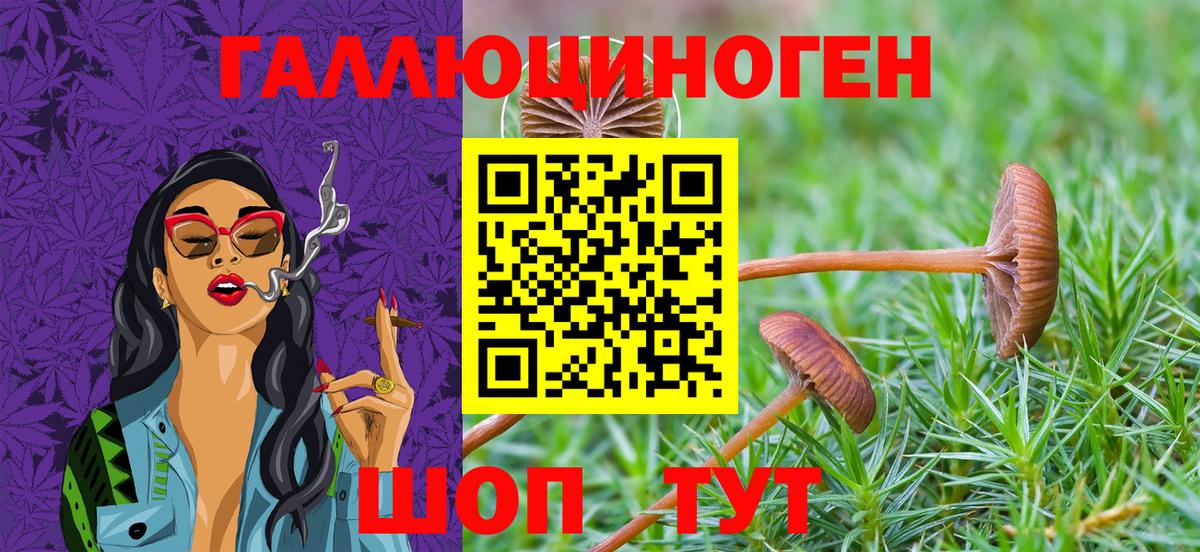 Кореновск  Псилоцибиновые грибы Magic Shrooms  Псилоцибиновые грибы мицелий  Вход с VPN 